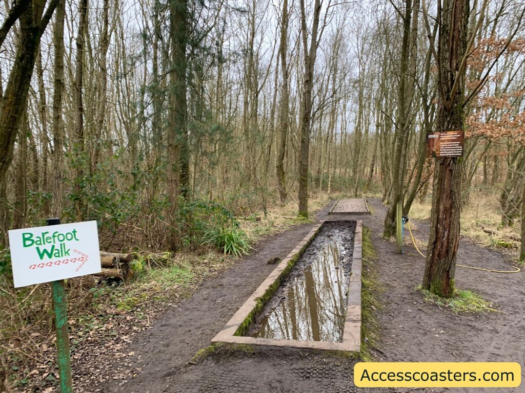 A forested area with a designated path called "Barefoot Walk." The path is bordered by trees and has a section filled with water and mud, designed for walking barefoot. A sign on the left reads "Barefoot Walk" with an arrow pointing towards the path. Another sign is attached to a tree on the right, but the text is not clear. The ground is muddy, and there is a hose attached to a tree, possibly for cleaning feet after the walk. The website "Accesscoasters.com" is displayed at the bottom right corner.