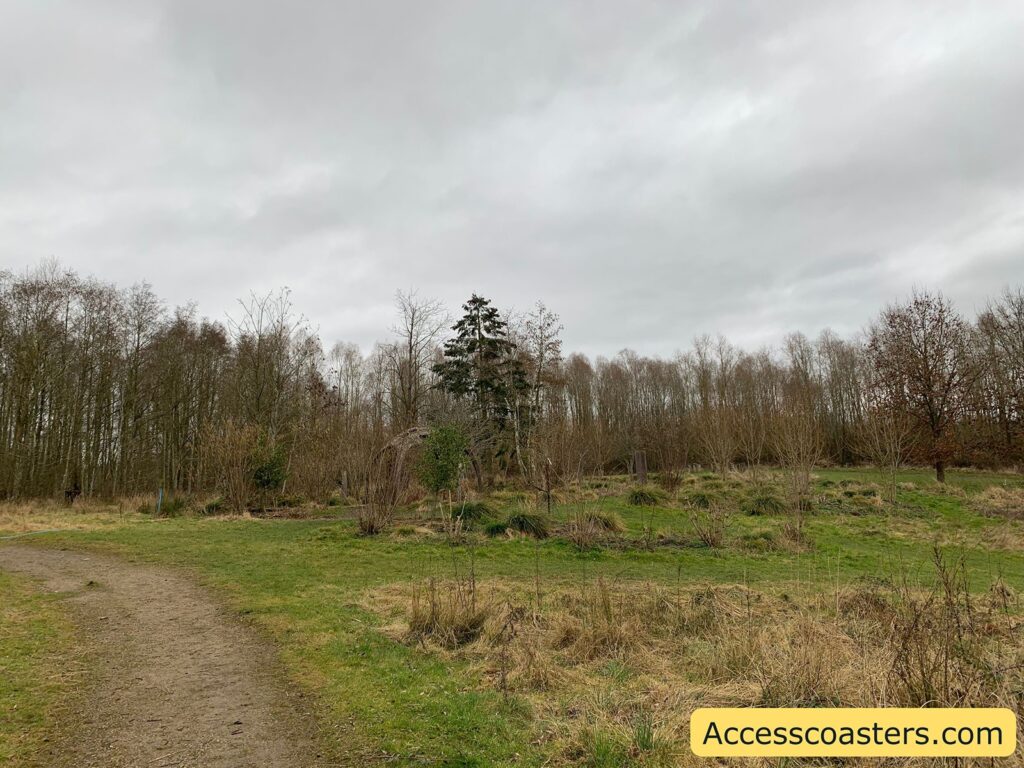 A cloudy sky over a landscape with a dirt path leading through a grassy area. On either side of the path, there are patches of dry grass and small bushes. In the background, there is a line of tall, leafless trees, indicating a winter or early spring setting. The scene has a natural, slightly overcast atmosphere. In the bottom right corner, there is a yellow rectangle with the text "Accesscoasters.com".