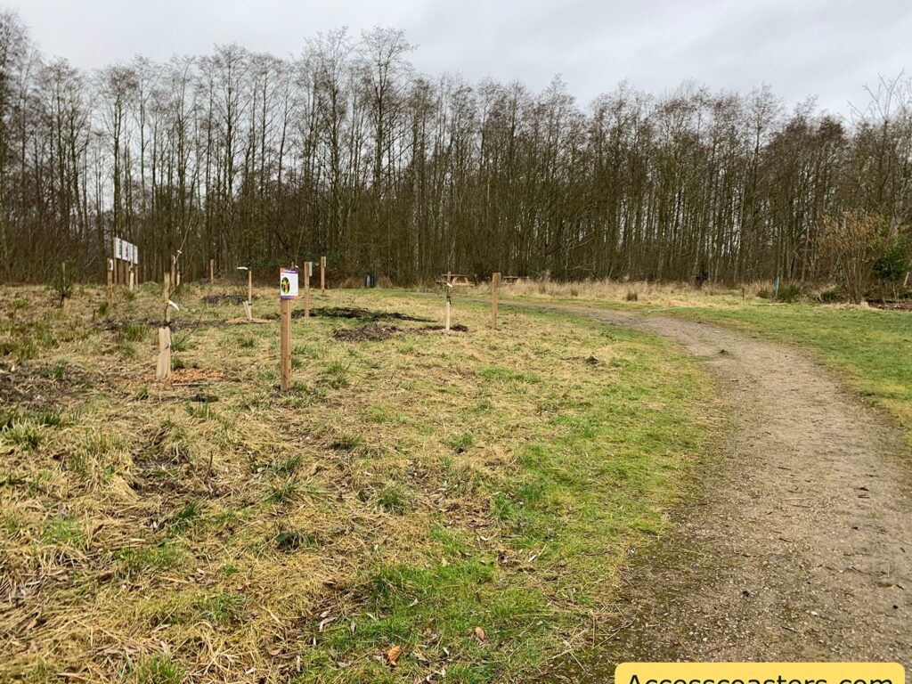 A grassy area with a dirt path curving through it. Several young trees are planted along the path, each supported by wooden stakes. In the background, there is a dense line of tall, leafless trees. Some signs are visible near the trees, and one of the signs closer to the path has a colorful design on it. The sky is overcast, suggesting a cloudy day.