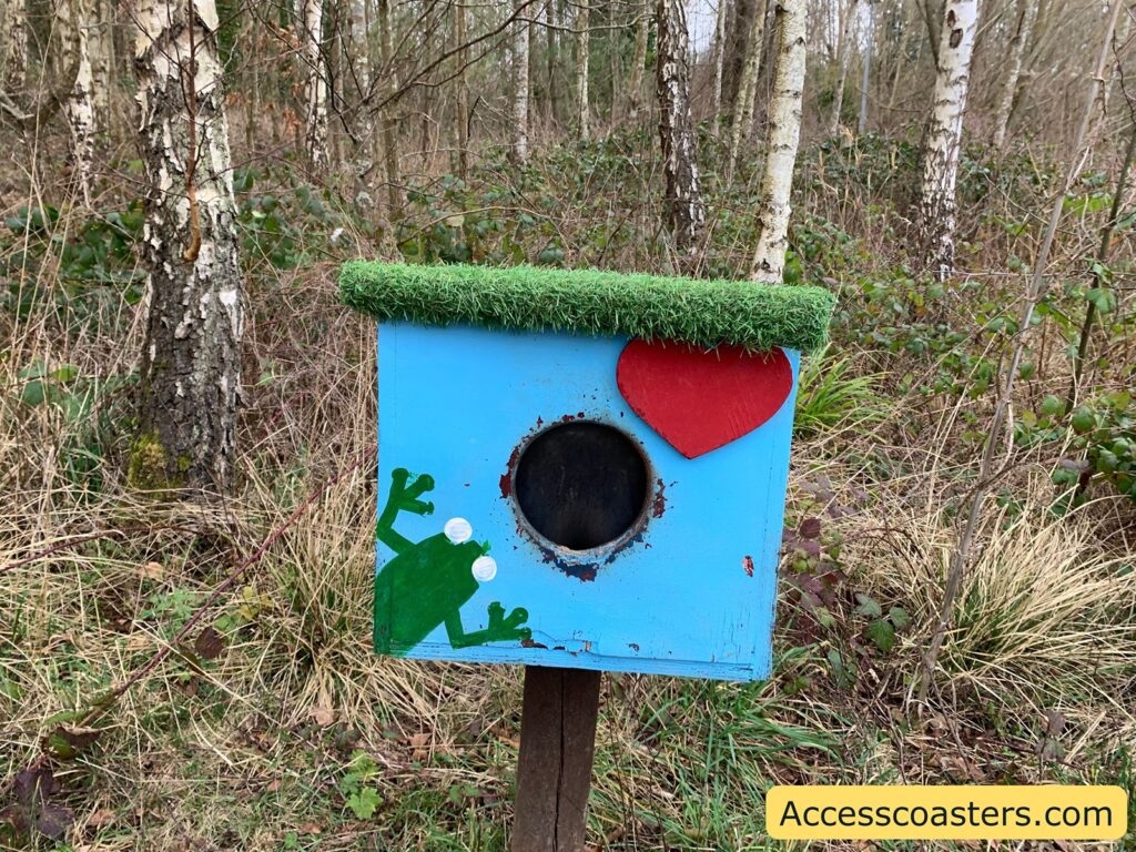 A brightly painted birdhouse is mounted on a wooden post in a wooded area. The birdhouse is painted blue with a green frog design on the lower left corner and a large red heart on the upper right corner. The roof of the birdhouse is covered with artificial grass. In the background, there are birch trees and dense undergrowth. In the bottom right corner of the image, there is a yellow label with the text "Accesscoasters.com