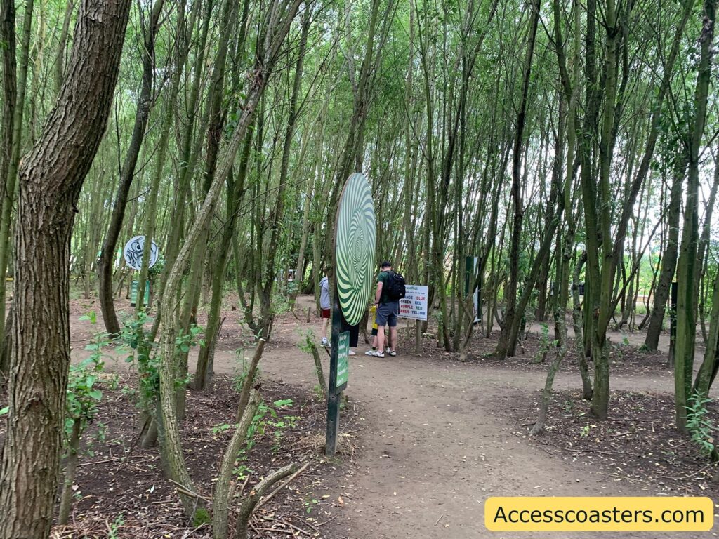 Woodland path with tall, thin trees and several circular signs featuring spiral or maze-like patterns. 