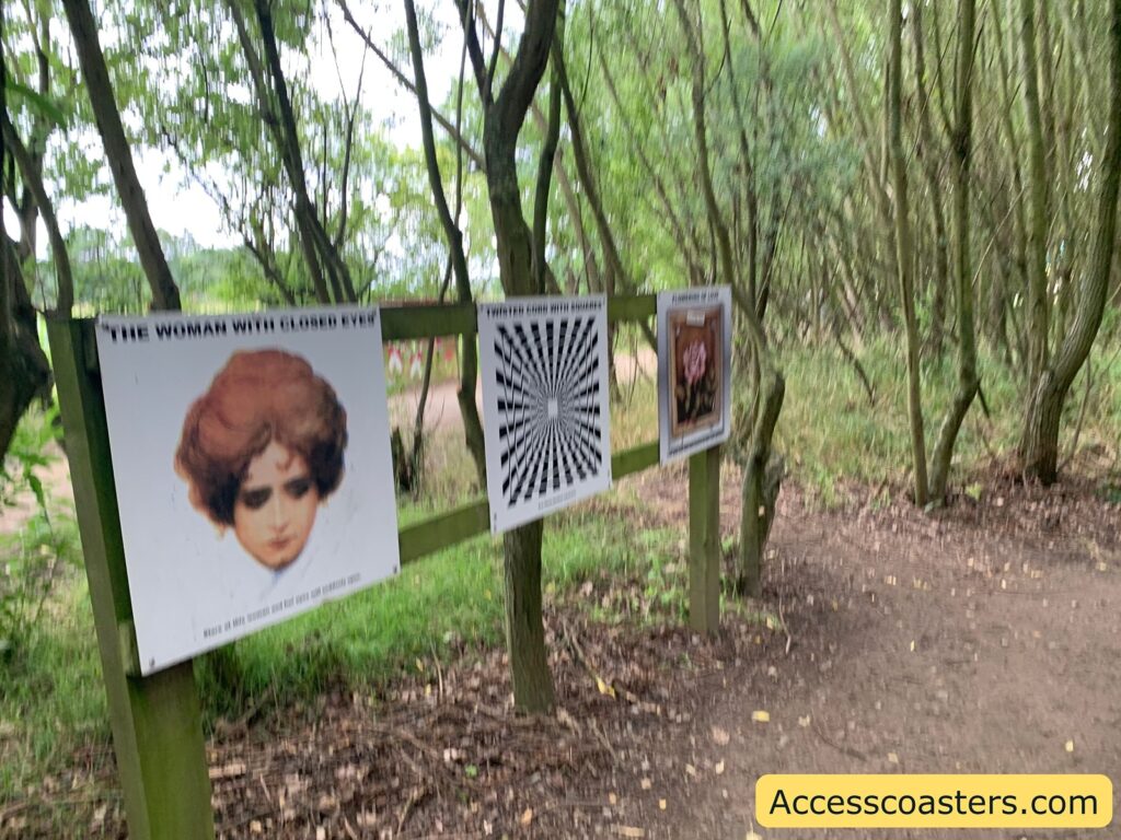 Outdoor woodland path with three signs on a wooden fence. The first sign shows a vintage-style illustration of a woman’s face with the heading “THE WOMAN WITH CLOSED EYES.” The second sign displays a black and white optical illusion pattern with text above it. The third sign features an image of a flower. 