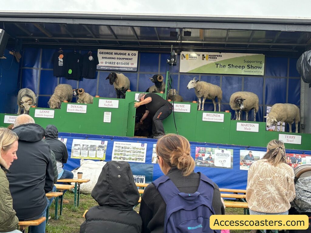 Nine sheep are lined up on stage in individual pens labeled with their breed names, with the farmer talking to an audience