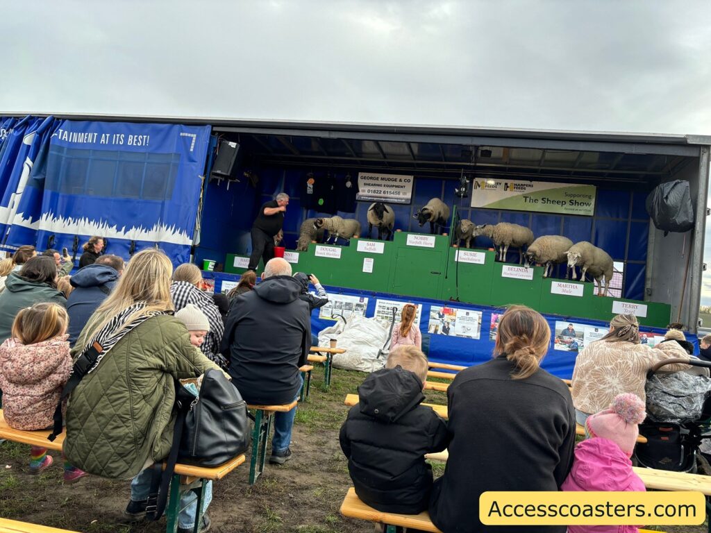Audience members, including adults and children, sit on benches facing a blue stage as the sheep show takes place outdoors 