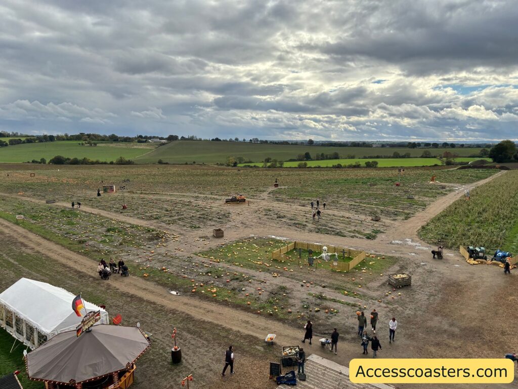 An elevated view of the pumpkin picking field, showing scattered pumpkins, open spaces,