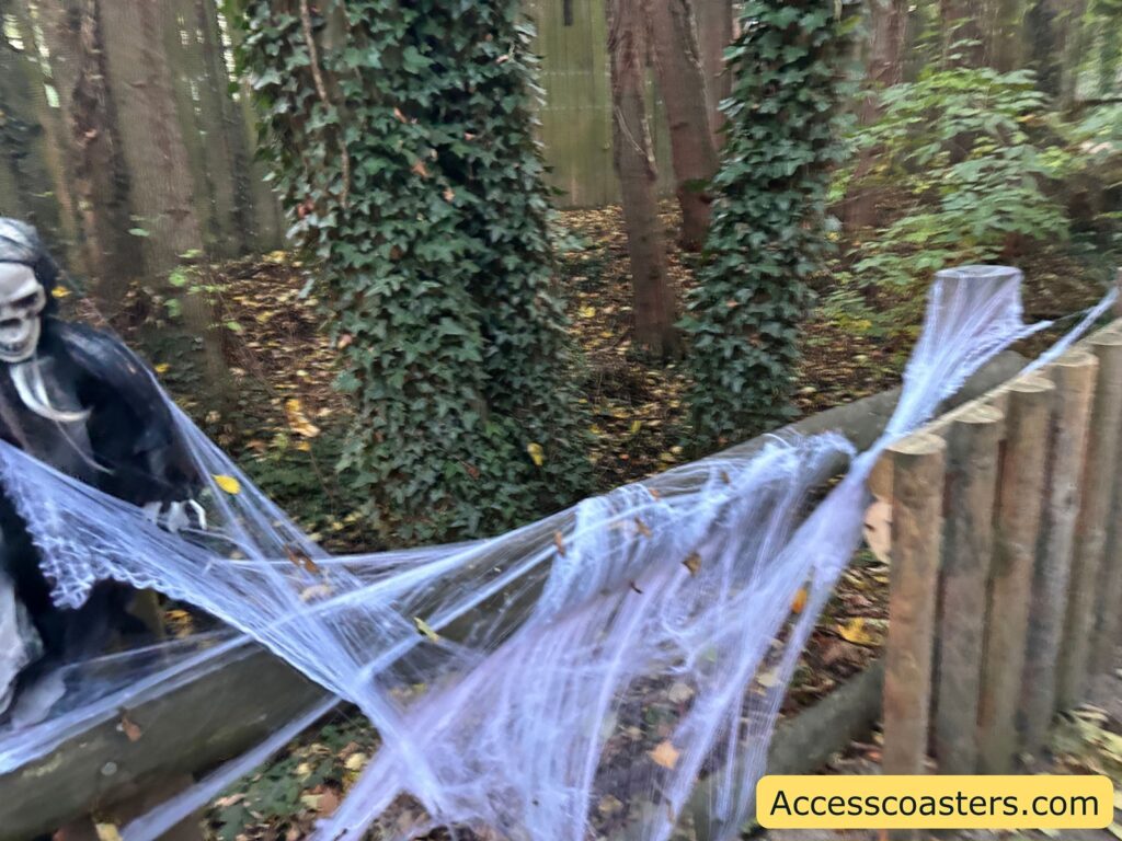 White gauzy fake cobweb decorations draped over bushes and branches along the zoo path.