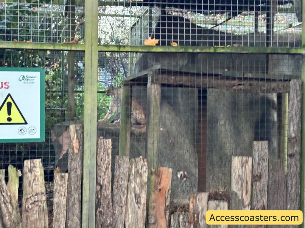 animal in large enclosure with wooden structure