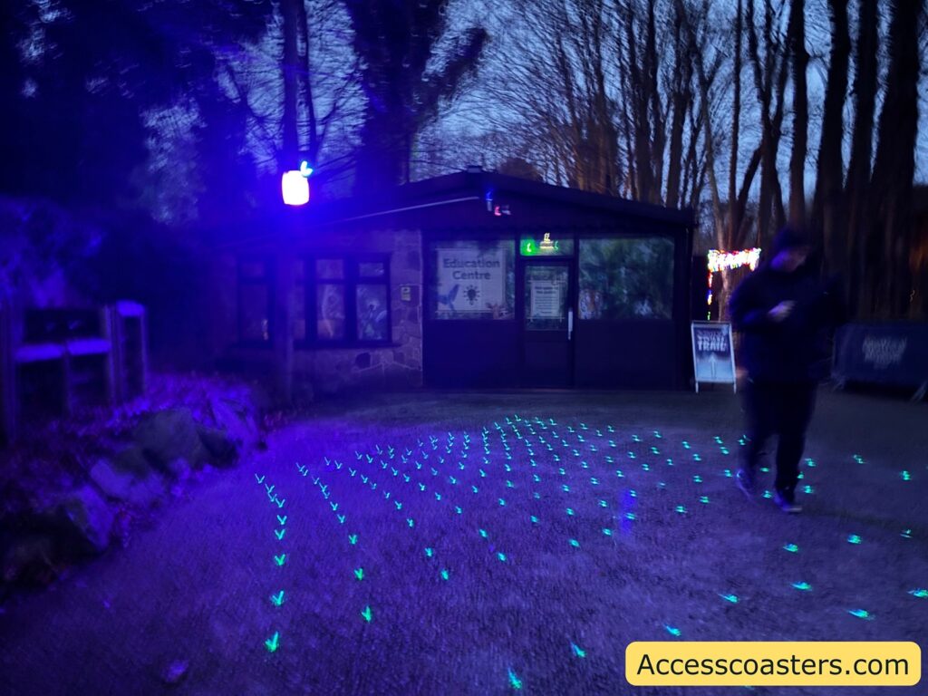 subtle blue and purple lighting on the ground