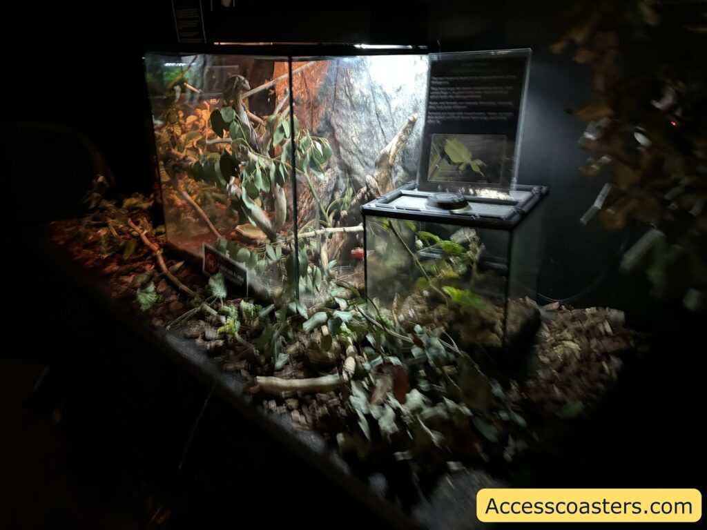 Insect enclosure display inside the Creepy Cave, showing various habitats.