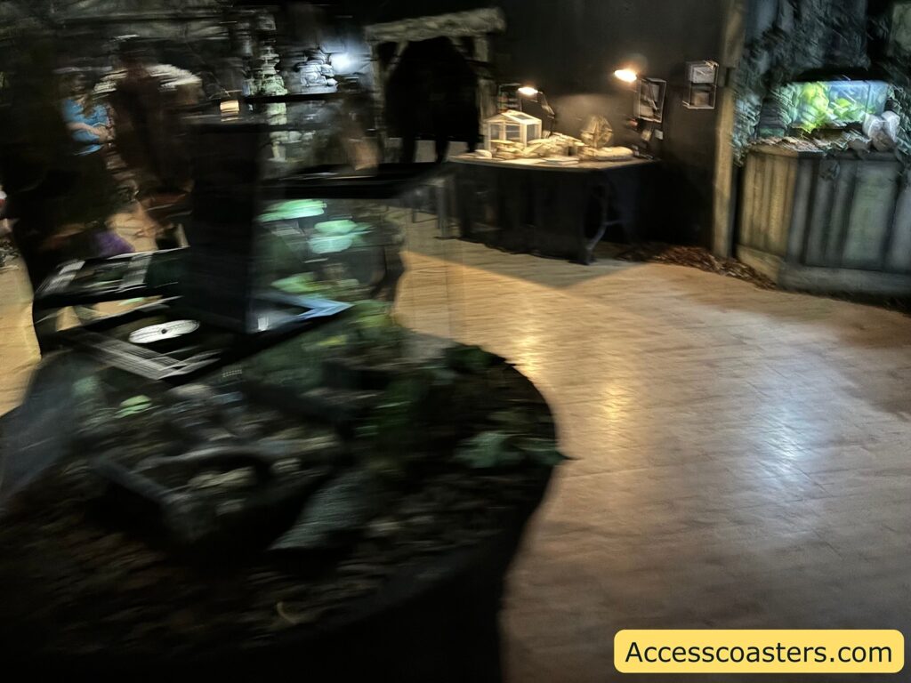 Overview of the Creepy Cave interior with display tanks and dim lighting.