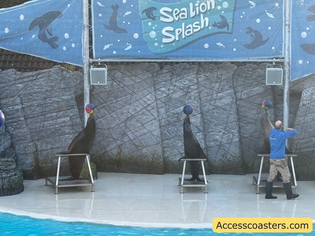 ealion and trainer in front of the ‘Sealion Splash’ backdrop, the trainer interacting with the animal 