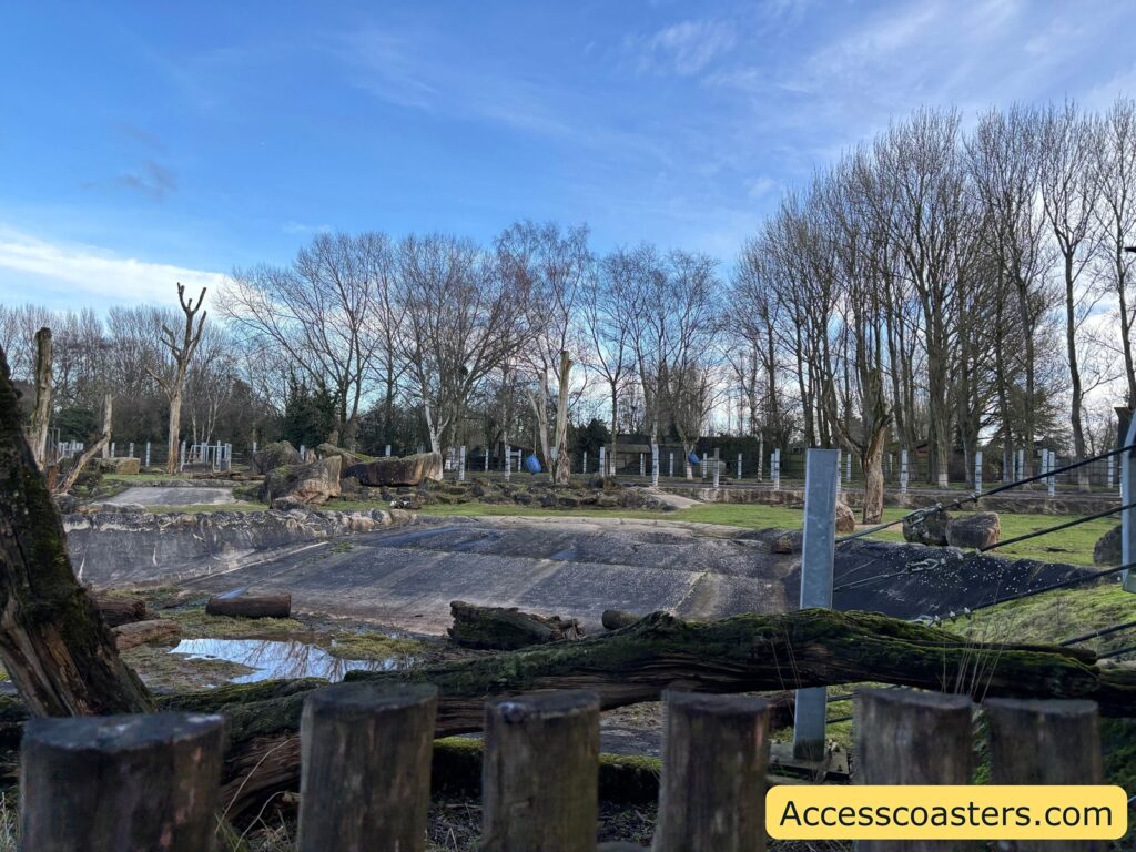 Wide view of the rhino enclosure, showing open habitat with logs, fencing, and leafless