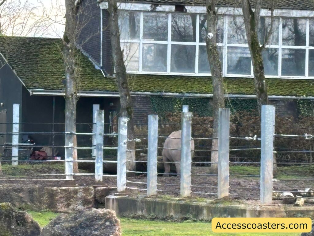 Rhinoceros standing behind fence posts near a building with large windows at the edge of the enclosure.