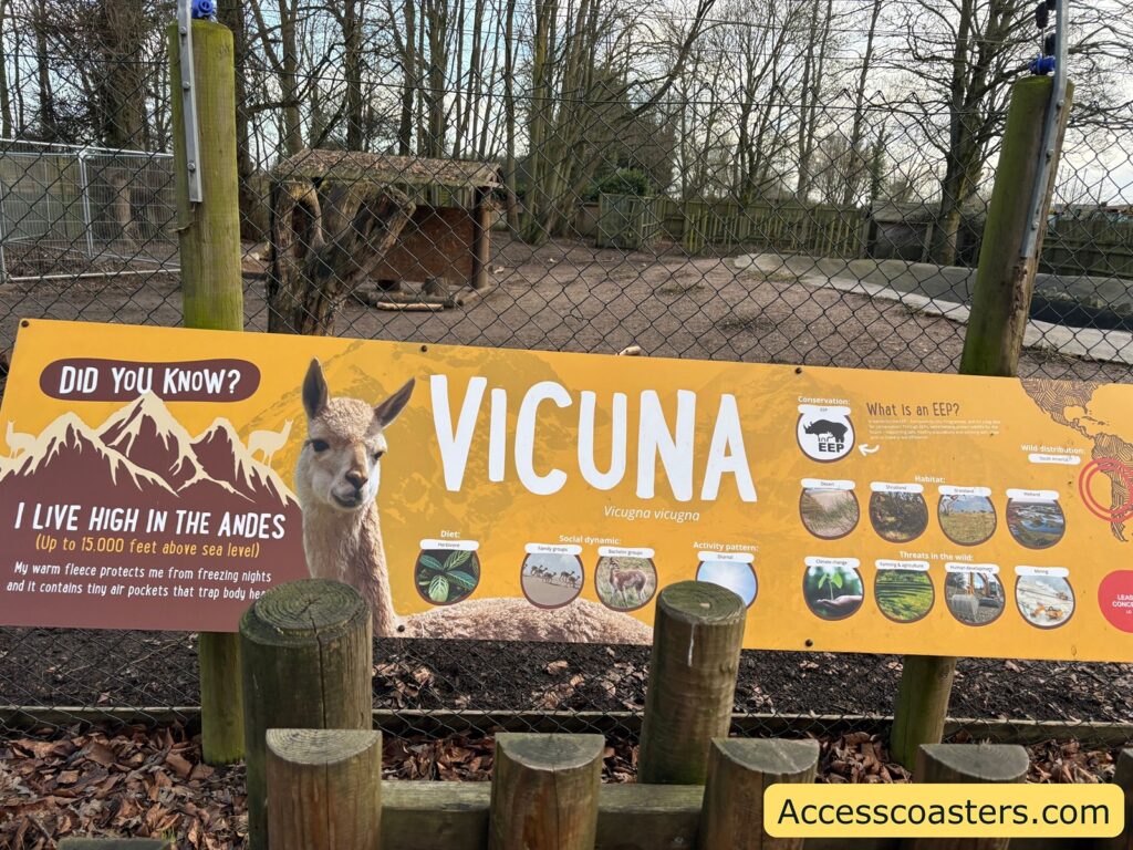 “VICUNA” information sign with “Did you know?” facts and small icons along the bottom.