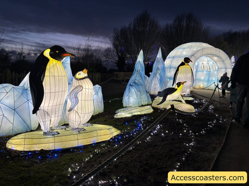 Night-time light trail display with large illuminated penguin lantern sculptures beside glowing ice-shaped lights and an igloo-style tunnel in the background.
