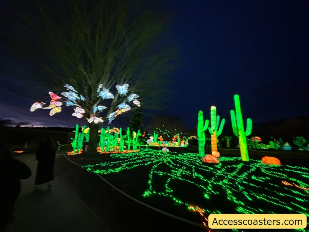 Wide nighttime view of a desert-themed light display featuring multiple bright green cactus sculptures and other glowing ground patterns along a curving path.