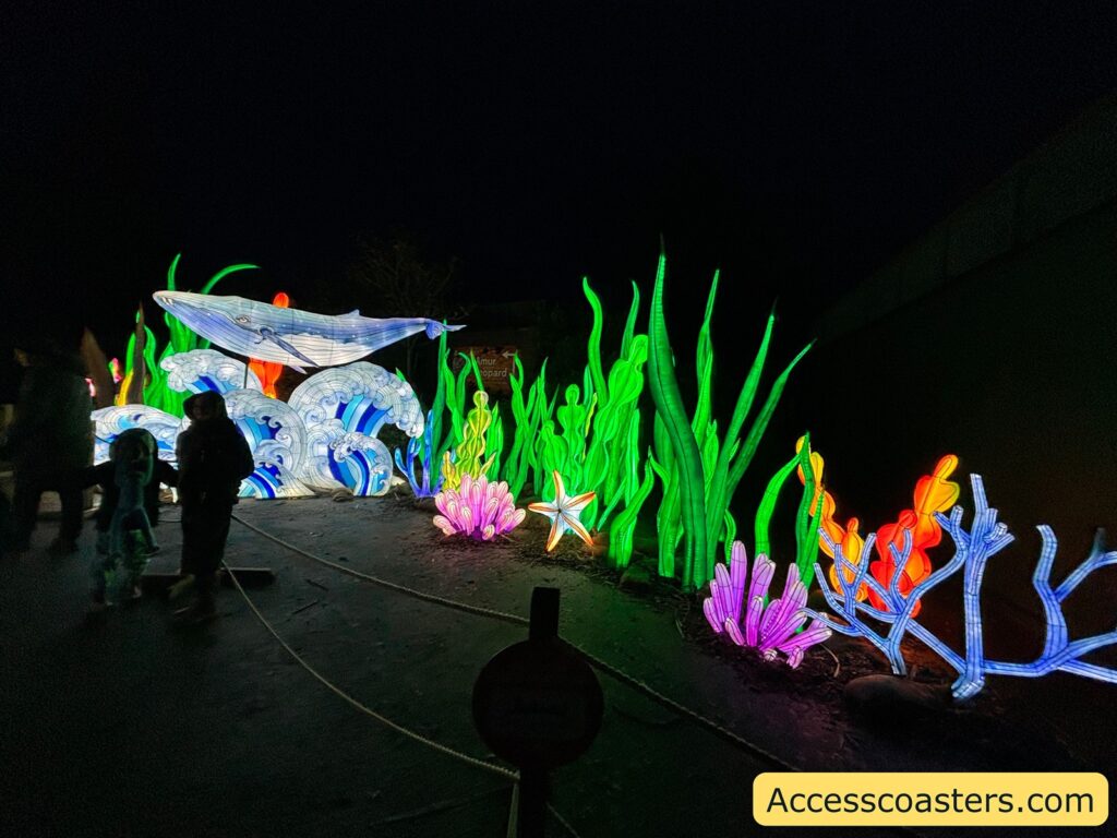 Nighttime photo of an underwater-themed light trail scene with large glowing seaweed and sea-creature light sculptures along a walkway, with visitors nearby.