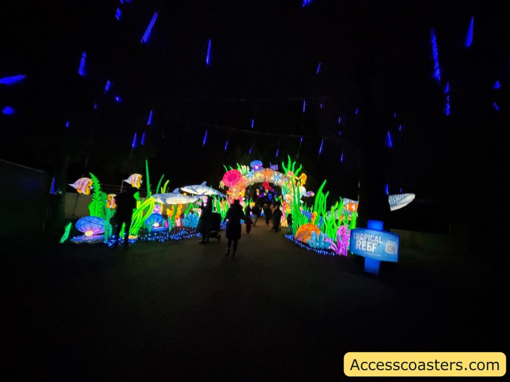 Nighttime light trail scene with visitors walking along a dark path through a glowing tropical reef display of colorful coral and sea creatures, with blue hanging lights overhead.
