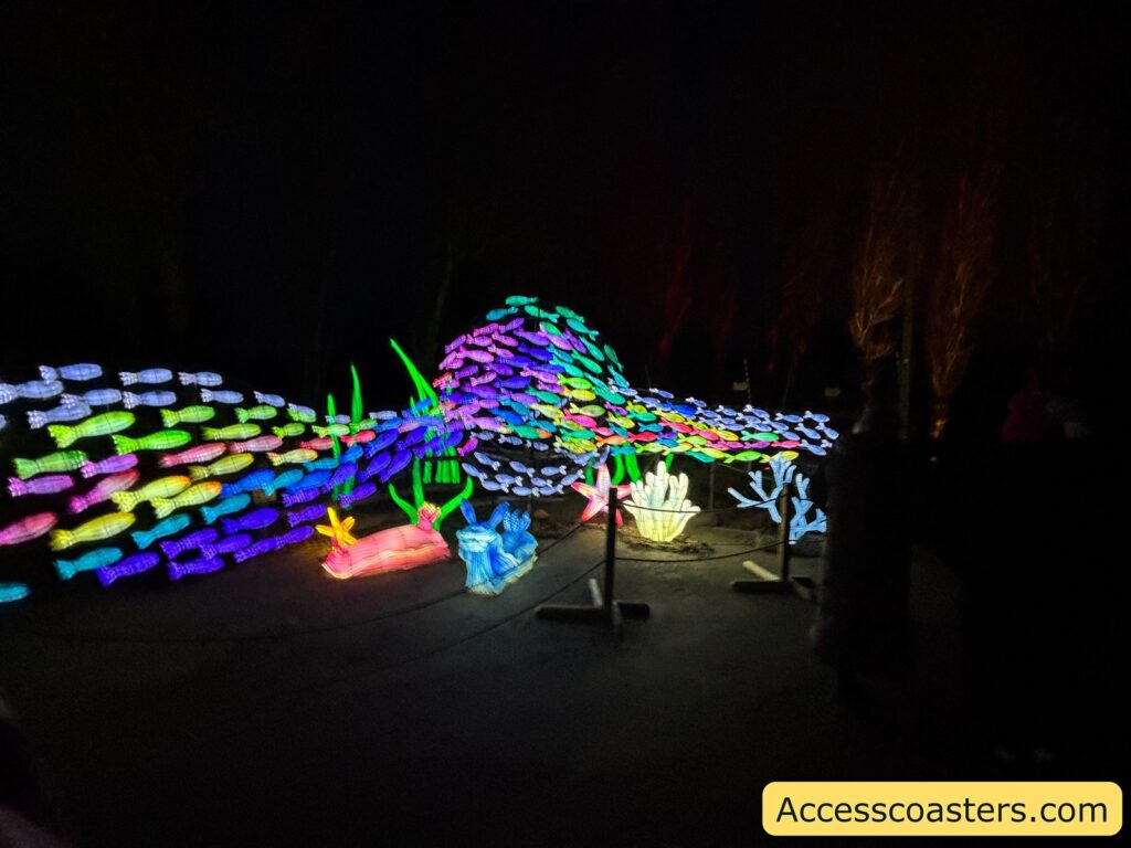 Close-up night time view of a large multi-coloured illuminated fish-shaped sculpture with surrounding glowing coral and reef lights along the trail.