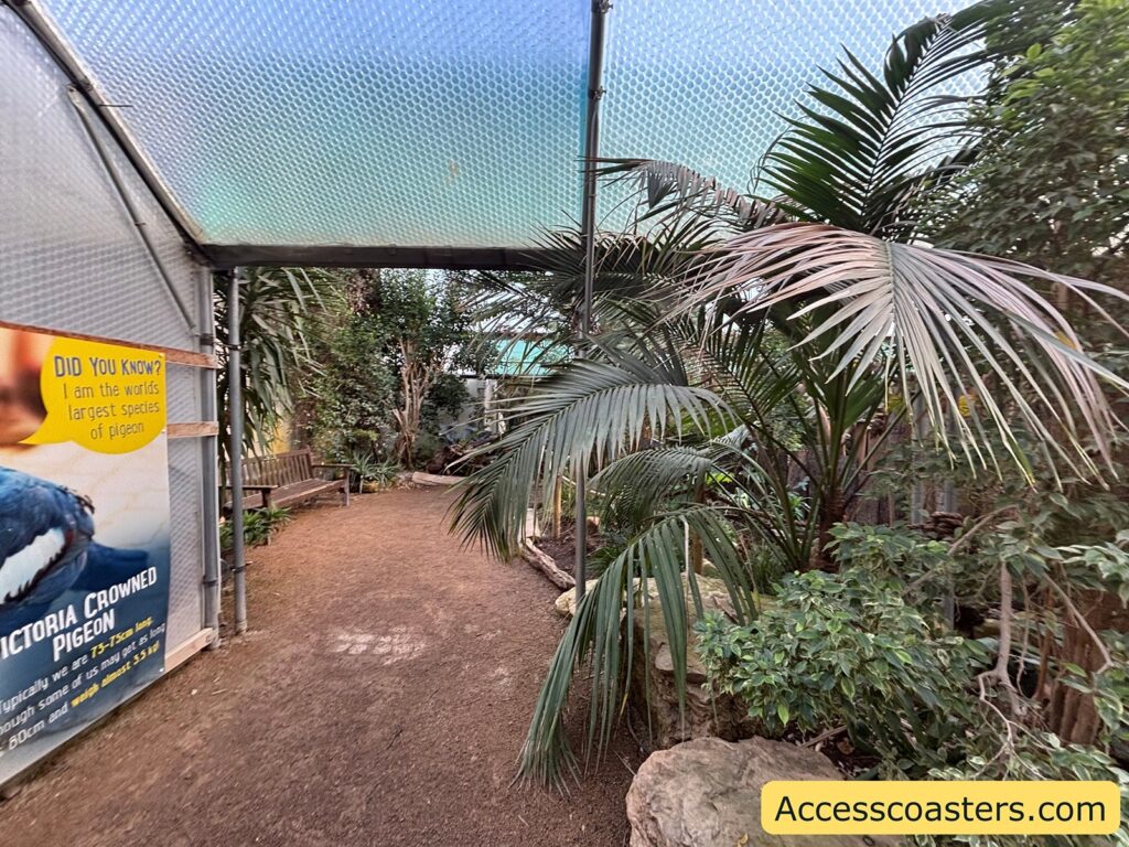 Pathway through dense tropical landscaping, with a signboard along the left side