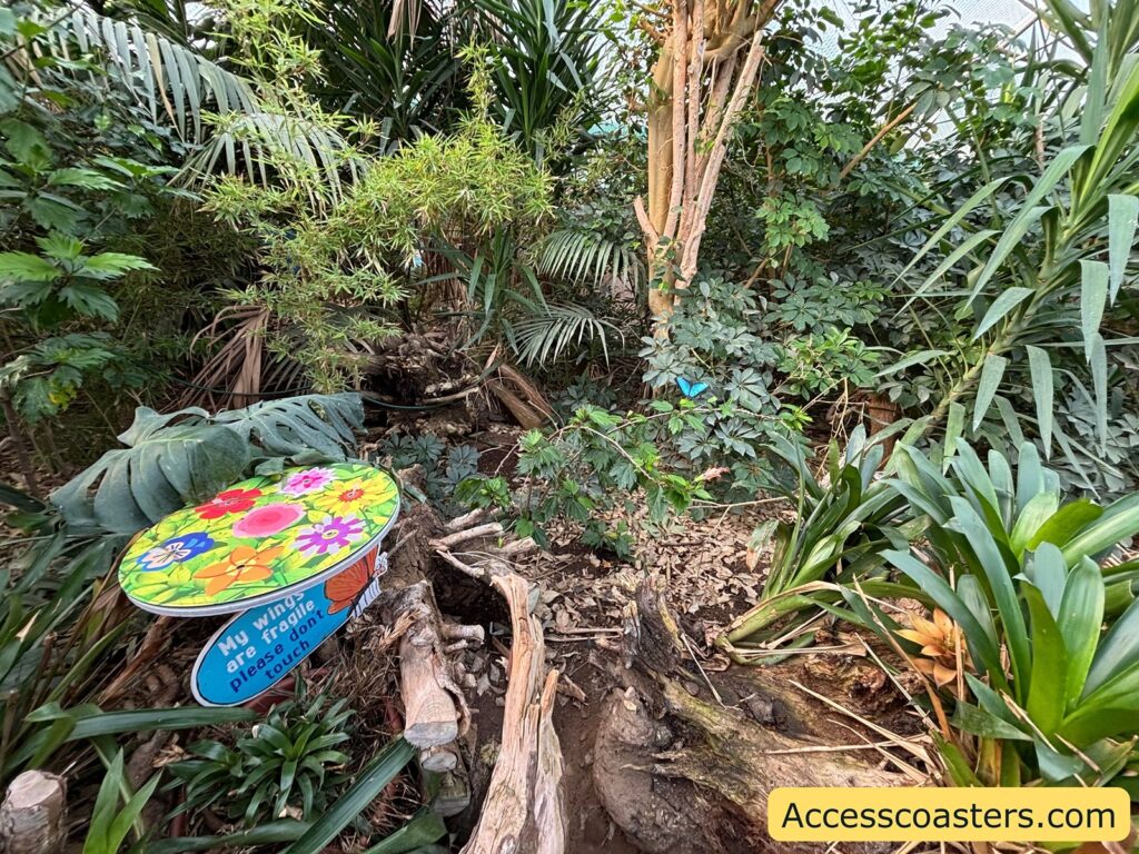 Dense tropical plants with a small colorful sign near the ground 