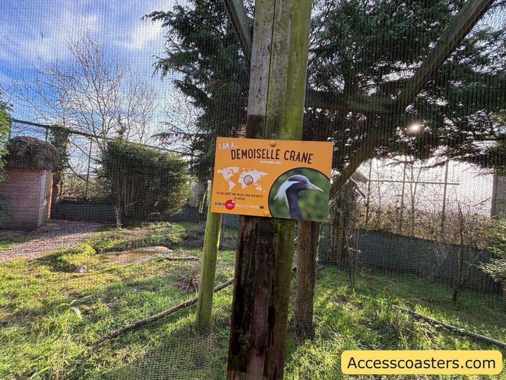 Sign reading “Demoiselle crane” attached to a post beside a wire-mesh bird enclosure, with grassy ground and trees behind it.