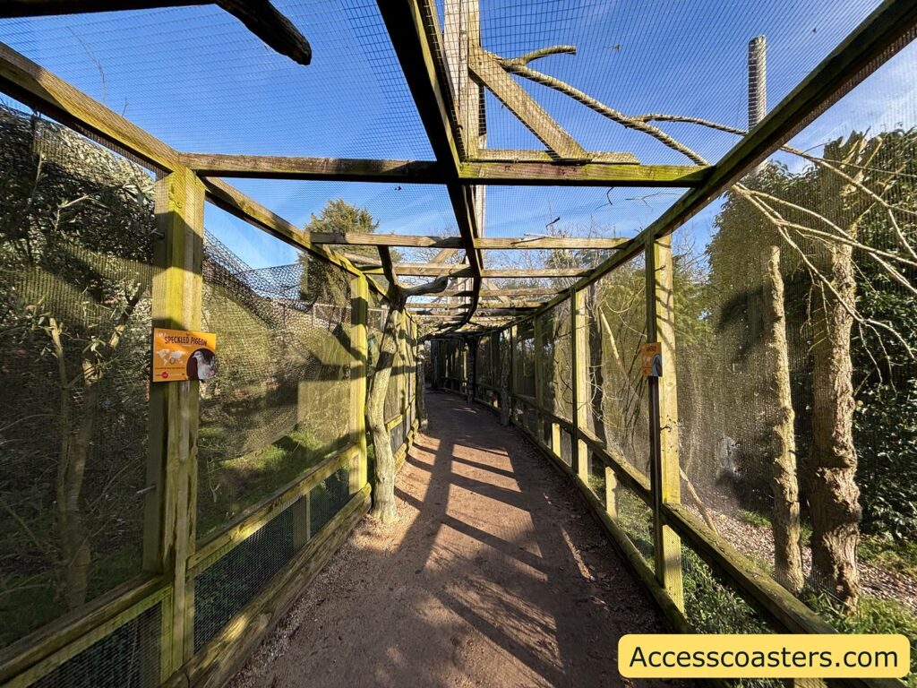 Long, covered bird-walkway corridor made of wooden frames and wire mesh, with a path running through the enclosure and trees and branches visible inside.