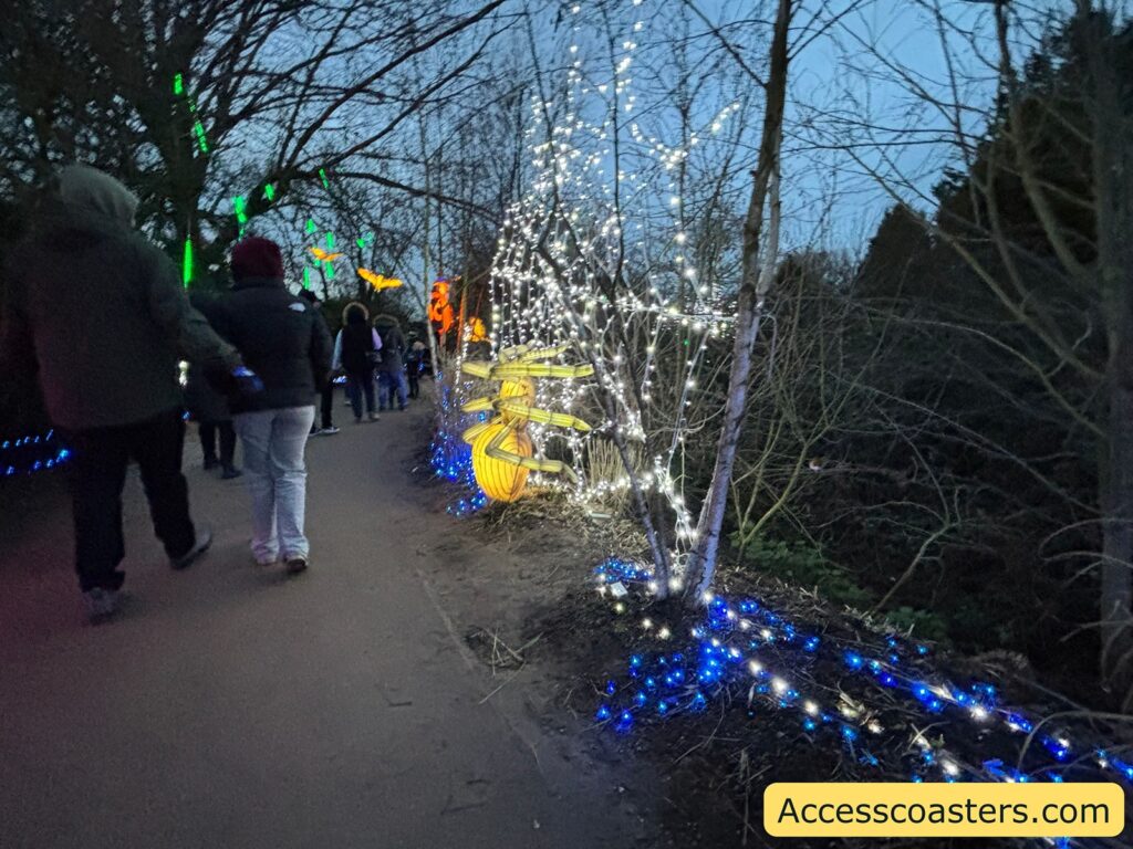 Visitors walking along a paved woodland path lined with white and blue fairy lights.
