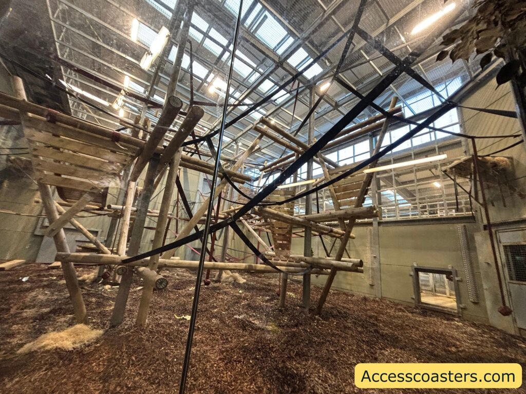 Inside the Chimpanzee Eden building, showing a high glass roof and a large network of wooden beams and ropes for climbing.