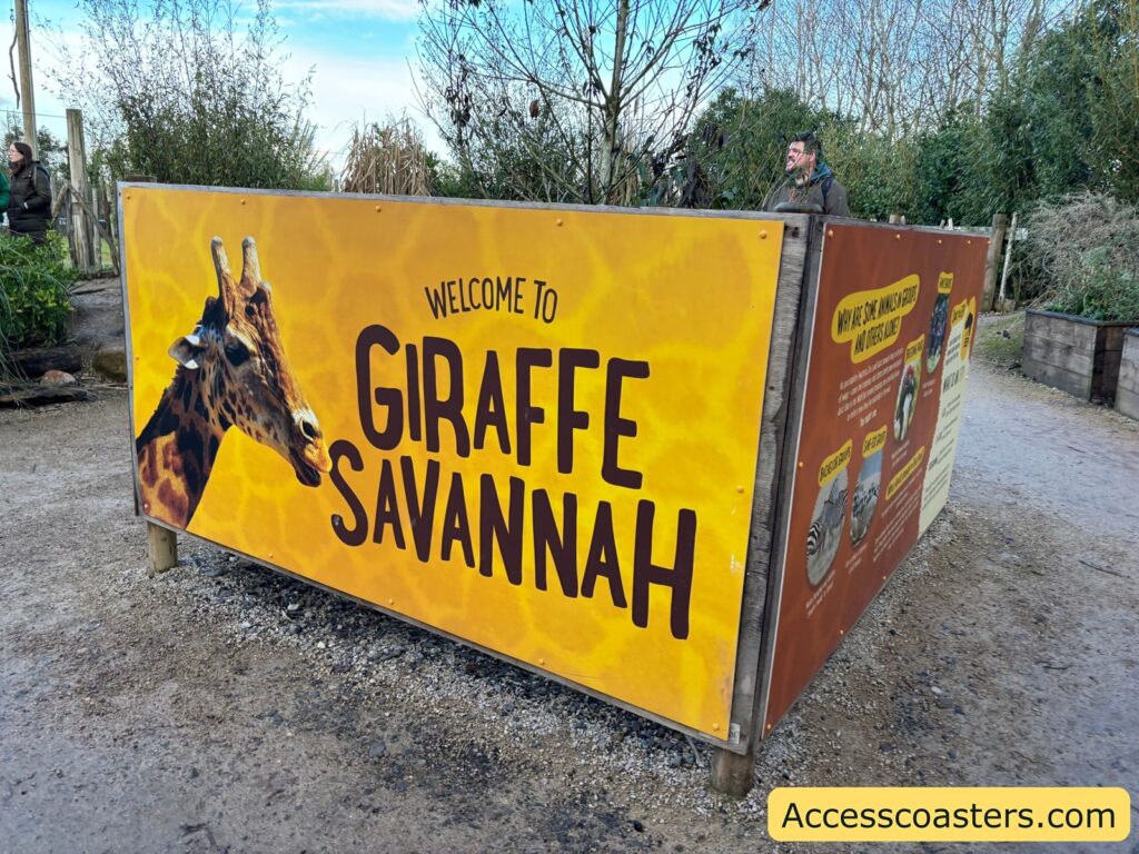 Large yellow “Welcome to Giraffe Savannah” sign on a barrier at the entrance walkway.
