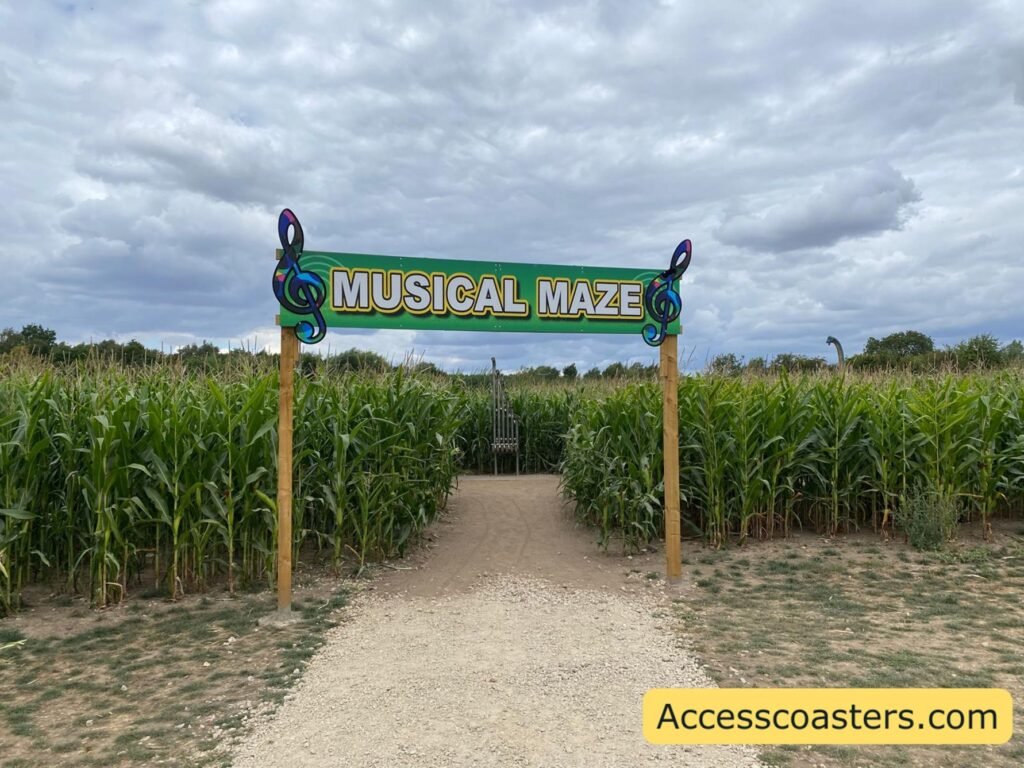 Entrance to the York Maze Musical Maze: a wide, level compacted-soil path leads between tall green corn, under a wooden gateway with a bright sign reading “Musical Maze” decorated with colour