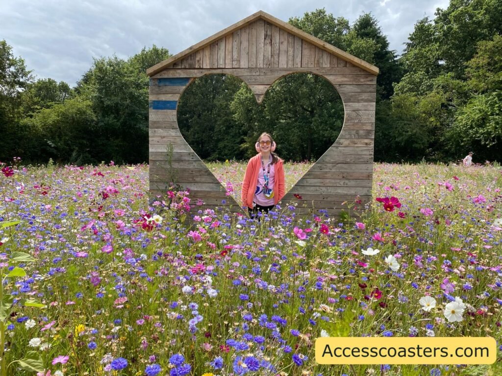  wooden hut-like frame standing in a wildflower meadow, with a large heart-shaped cutout in the middle. Iona is standing and smiling in the heart opening