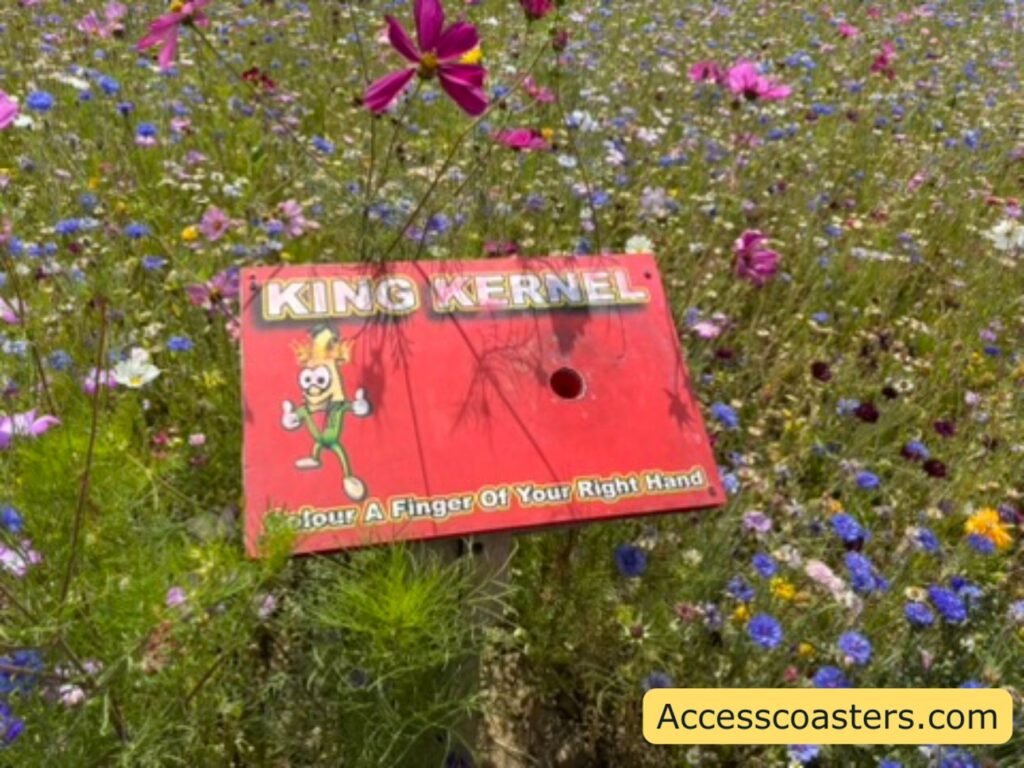  A close-up of wildflowers in a meadow, mainly pink, purple, blue, and white blossoms on tall stems. In the center, a red rectangular sign sticks out of the flowers. It says use a fingure on your right hand. and has a little circular hole with paint in 