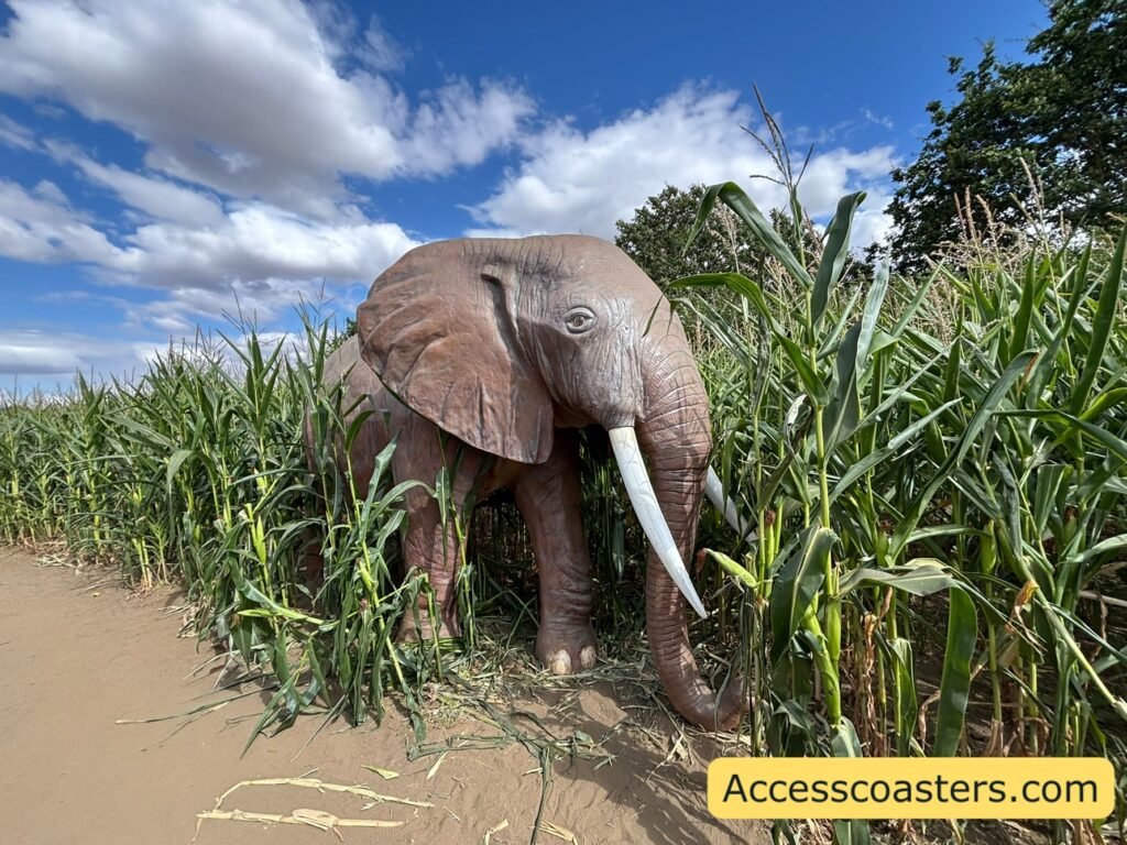 image of elephant statue in the long corn grass just of the path of the corn maze