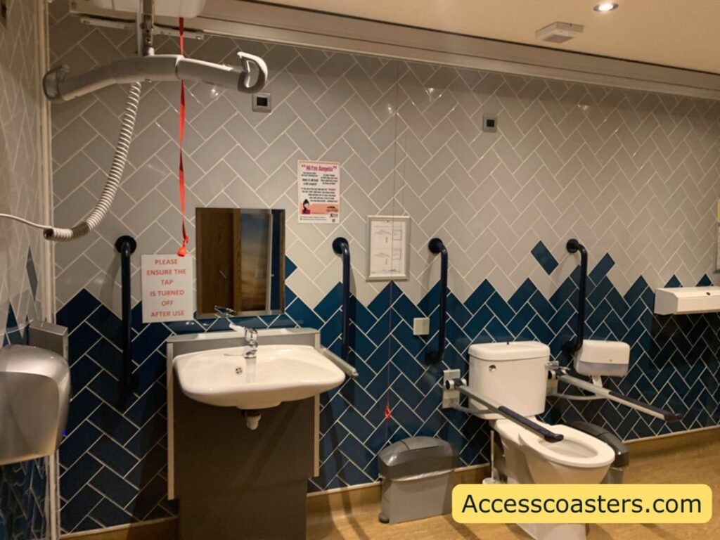 Interior of the Changing Places accessible toilet at The Velvet Coaster, showing a height‑adjustable sink, a ceiling‑track hoist, support rails, and toilet in the middle with support rails at each side.