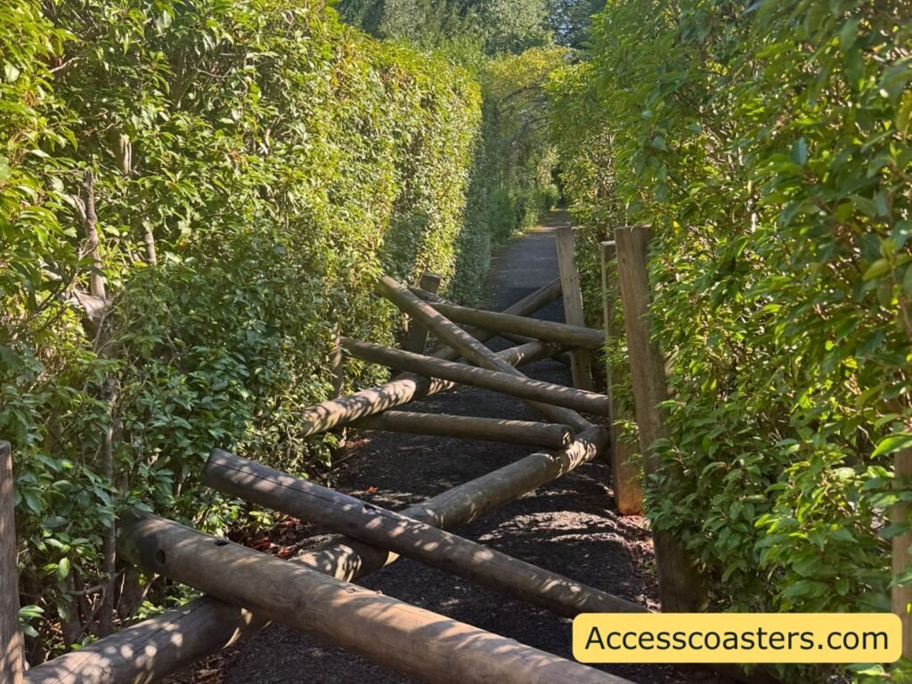 image of maze path with wooden climbing structure across. 